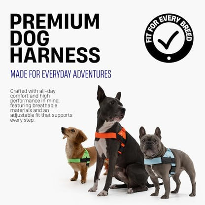 Dog Friendly Co. Dog Harness for Large Breeds - Image 3