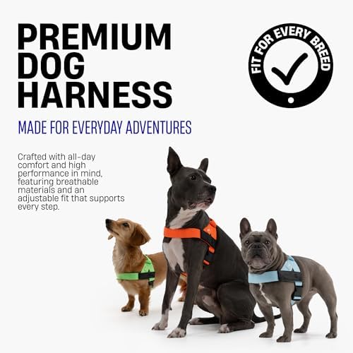 Dog Friendly Co. Dog Harness for Medium Sized Dogs - Image 3