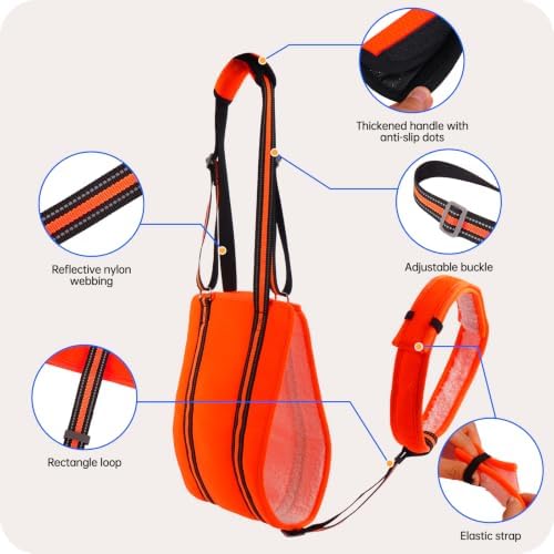 PAWsay Adjustable Dog Sling for Medium Dog Hind Leg Support - Image 7
