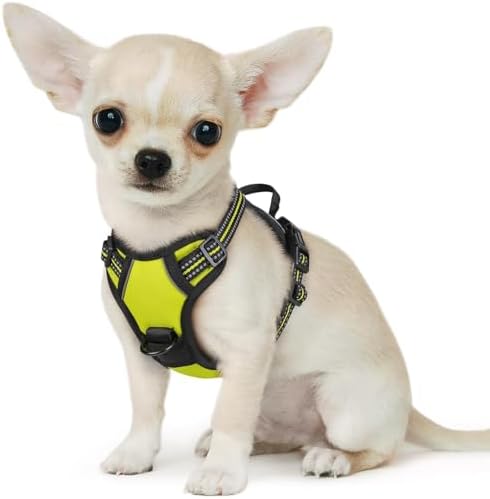 Eagloo Dog Harness for Small Dogs, No Pull Pet Vest by GoExplorewithEagloo