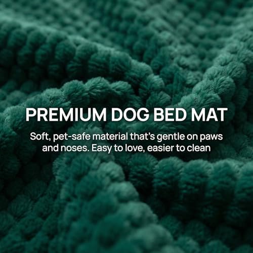 Cat Bed Mat - Durable & Cute Crate Beds - Image 6