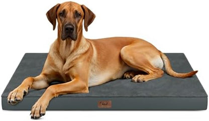 Jumbo Waterproof Orthopedic Dog Bed by TailStories