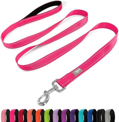 6 FT Basic Dog Leash for Large Dogs, Hot Pink by Penseepet