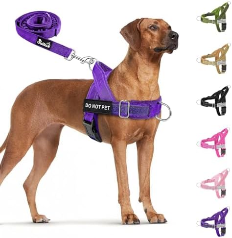 SlowTon No Pull Dog Harness and Leash Set by SlowTon
