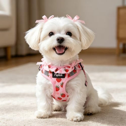 PUPTECK Dog Harness and Leash Set Small Sized, Step in No Pull Adjustable Puppy - Image 6