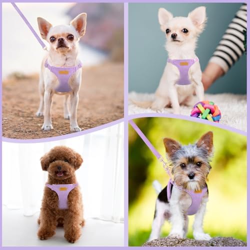 SlowTon No Pull Dog Harness - Image 7