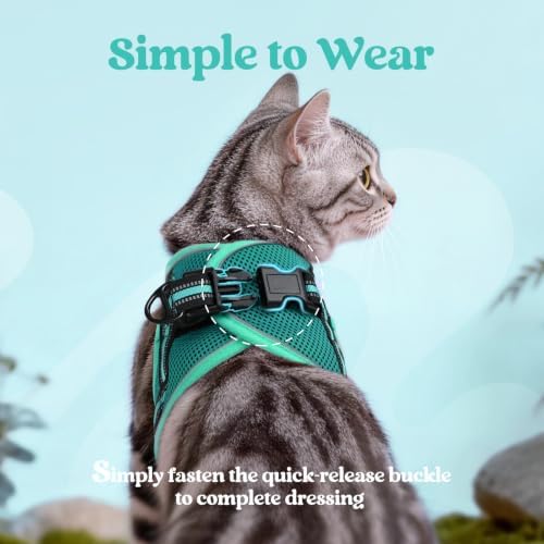 rabbitgoo Cat Harness and Leash Set, Step-in Soft Vest, Turquoise & Green - Image 4