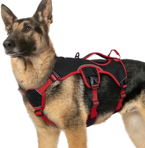 rabbitgoo Escape Proof Dog Harness by rabbitgoo