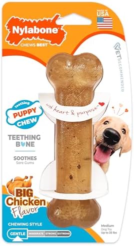 Nylabone Puppy Chew Teething Bone Dog Chew Toy, Chicken Flavor by Nylabone