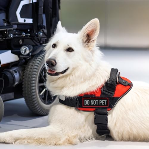 2 Pcs Reflective Do Not Pet Patch Set - Image 7