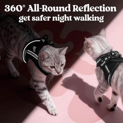 rabbitgoo Cat Harness and Leash Set, Step-in Soft Vest - Image 5