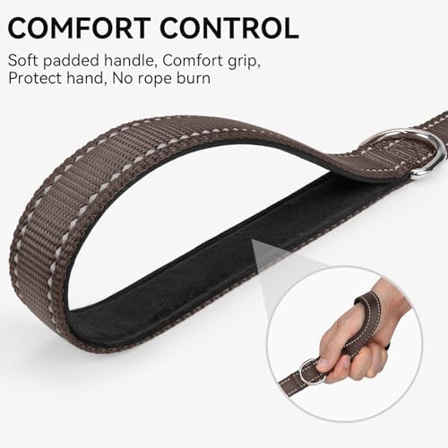 Joytale Reflective Dog Leash for Medium & Large Dogs, 4 FT x 1" - Image 3