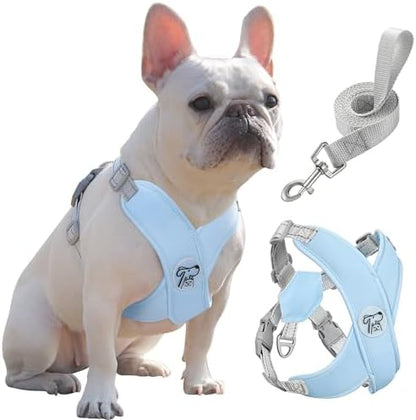 Pawaboo Small Dog Harness and Leash Set, Puppy Harness X-Frame Adjustable by Pawaboo