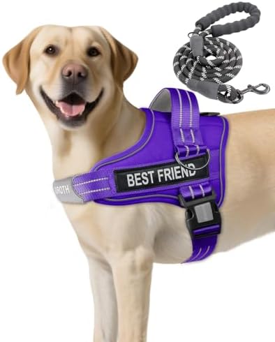 AUROTH Dog Harness and Leash Set by AurothPets