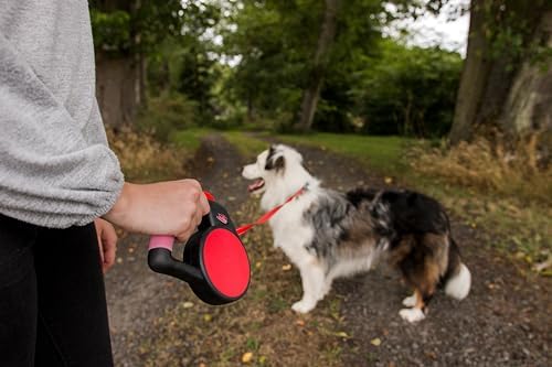 WIGZI Gel Handle Reflective Tape Retractable Leash - Image 6
