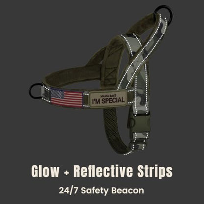 Forestpaw No Pull Dog Harness - Image 5