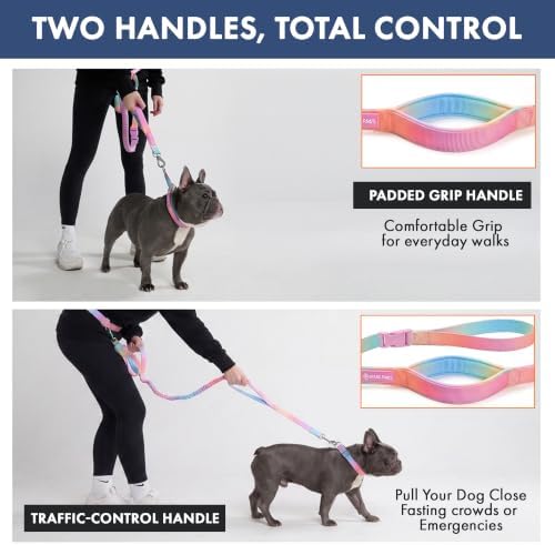 Spark Paws Hands Free Dog Leash - Image 5