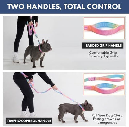 Spark Paws Hands Free Dog Leash - Image 5