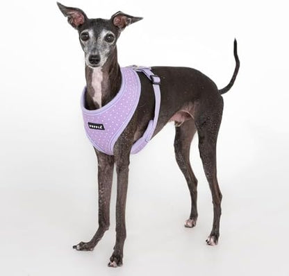 Puppia Dotty Dog Harness A Fashionable Polka Dot Pattern Spring Summer Harness - Image 3