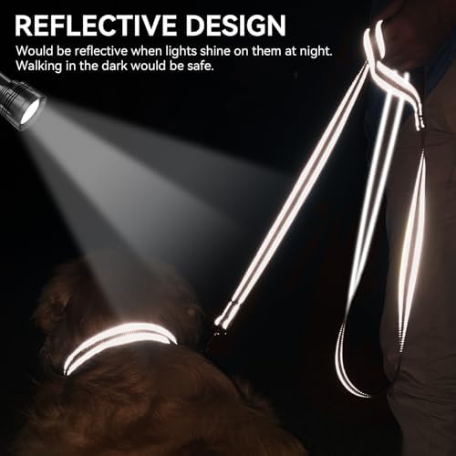 Joytale Reflective Dog Leash for Small Dogs, 5 FT x 3/4" - Image 4