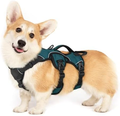 rabbitgoo Escape Proof Dog Harness by rabbitgoo