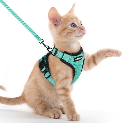 rabbitgoo Cat Harness and Leash Set, Escape Proof Vest by rabbitgoo