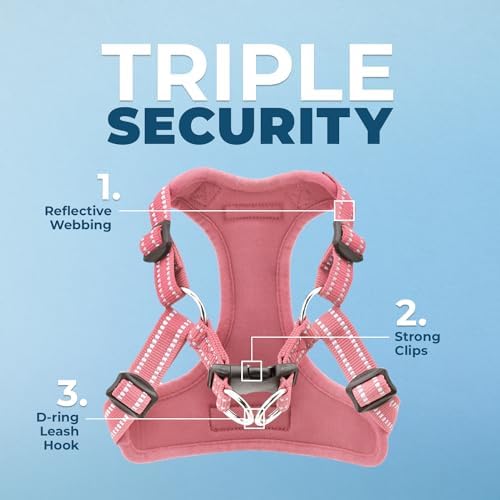 Voyager Step-in Flex Adjustable Dog Harness - Image 2
