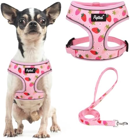 PUPTECK Small Dog Harness and Leash Set No Pull by PUPTECK