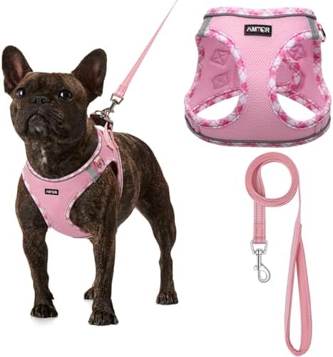 AMTOR Small Dog Harness with Leash Set, No Escape Easy Walk Puppy Harnesses by AMTOR