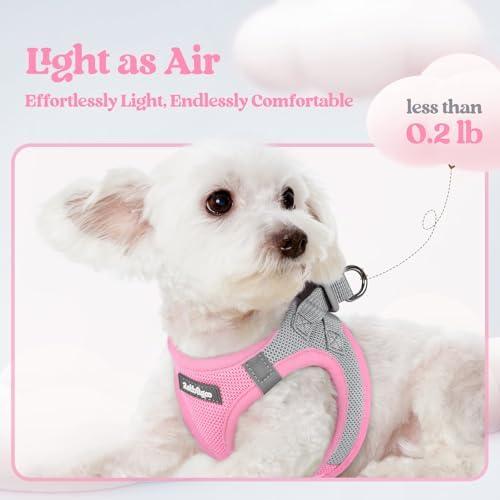 rabbitgoo Dog Harness Medium Sized and Leash Set, Step-in Puppy Pet Vest - Image 4