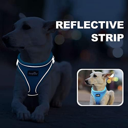haapaw Dog Harness with Leash Set, No Pull Adjustable Reflective Step-in Puppy - Image 5
