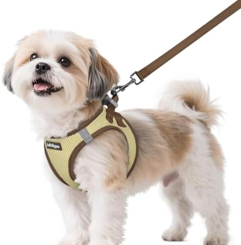rabbitgoo Dog Harness Small Sized and Leash Set, Step in Soft Vest by rabbitgoo