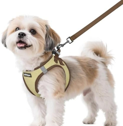 rabbitgoo Dog Harness Small Sized and Leash Set, Step in Soft Vest by rabbitgoo