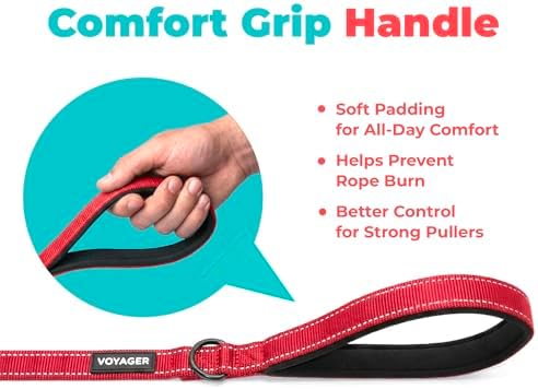 Best Pet Supplies Voyager Nylon Dog Leash - Image 5