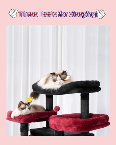 Gitelsnour Cat Tree, Big Condo Hammock GCT030BR - Image 3