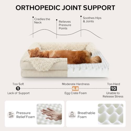 GASUR Orthopedic Dog Bed for Large Sized Dog, Plush Washable Dog Couch Beds - Image 2