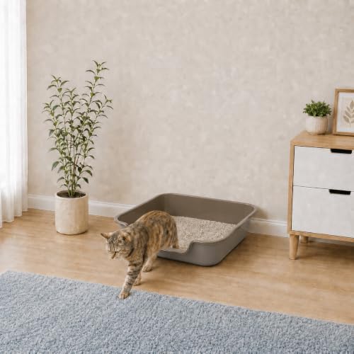 Extra Large Low Entry ABS Cat Litter Box, Light Brown, 1 Pack - Image 4