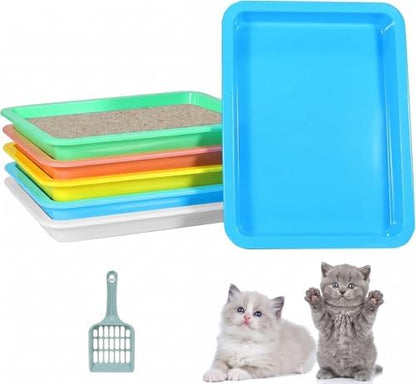 6 Pcs Kitten Litter Boxes, Low Entry Litter Box by Koparion