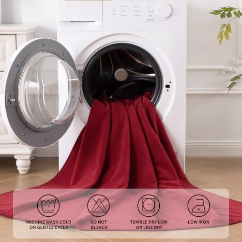 QiyI Reversible Waterproof Blanket - Image 6