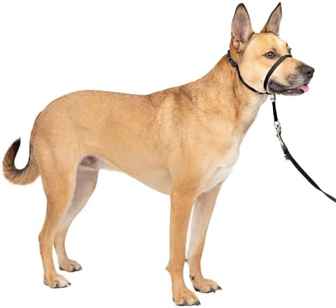 PetSafe Gentle Leader No Pull Dog Headcollar by PetSafe
