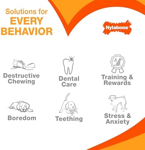 Nylabone Power Chew Original Bone Dog Chew Toy, Original Flavor - Image 6