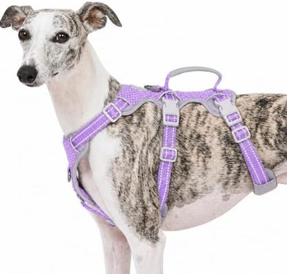 Huntboo Escape Proof Dog Harness, No Pull Reflective Harness by Huntboo