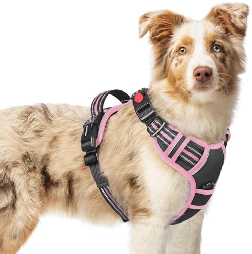 rabbitgoo Dog Harness Medium Sized, Updated Easy On & Off by rabbitgoo