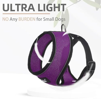 PUPTECK Small Dog Harness and Leash Set No Pull - Image 5