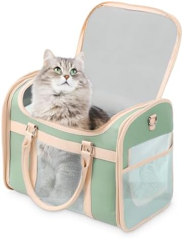 Luxury Mint Green PU Leather Pet Carrier Bag, Airline Compliant Portable Travel by Lilliella