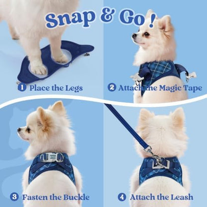 rabbitgoo Dog Harness Small Sized and Leash Set, Step in Soft Vest - Image 2