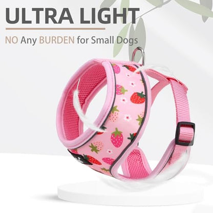 PUPTECK Small Dog Harness and Leash Set No Pull - Image 5
