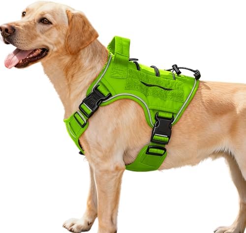 Heavy-Duty Tactical Dog Harness by Bruvoalon