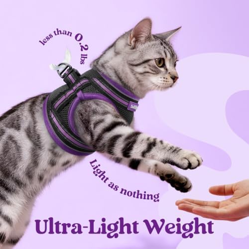 rabbitgoo Cat Harness and Leash Set, Step-in Soft Vest - Image 6