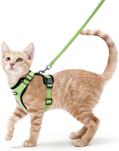 rabbitgoo Cat Harness and Leash Set, Escape Proof Vest, Light Green by rabbitgoo